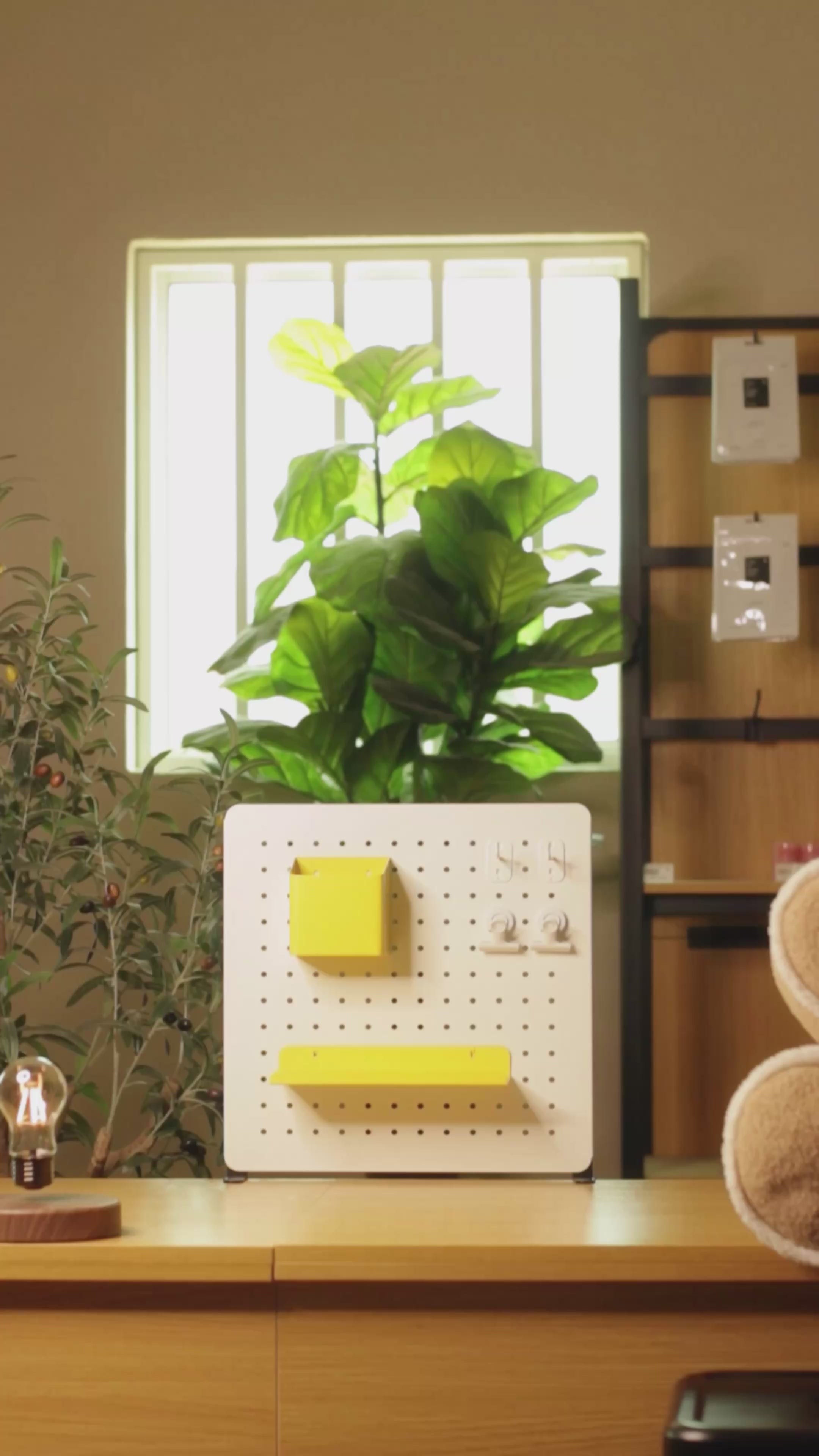 Load video: Snap-Shelf